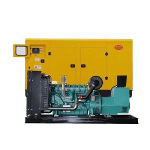 Silent Diesel Electric Generator