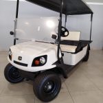 Utility Golf Cart with Cargo Bed
